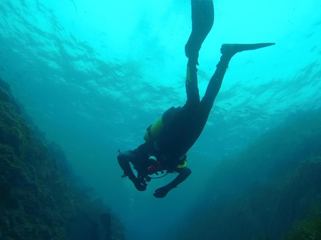 Buceo Aguadulce Dive & Water Sports-阿瓜杜尔塞必去景点