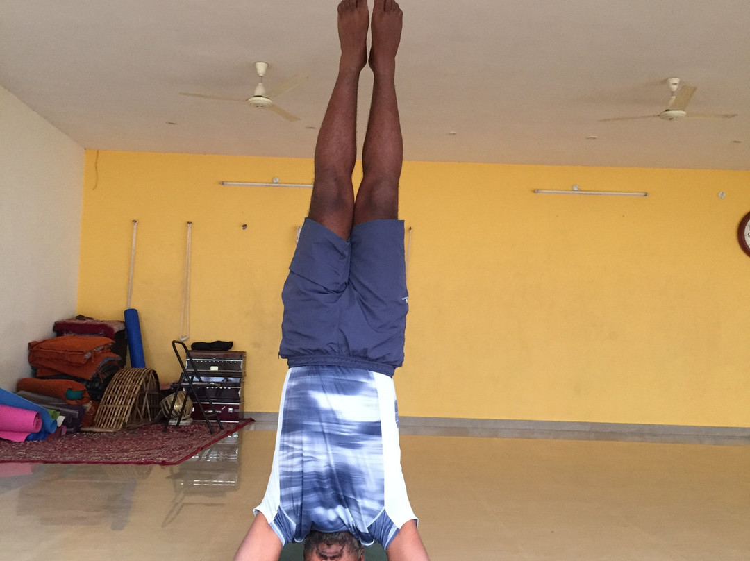 Shiva Tattva Yoga School景点图片