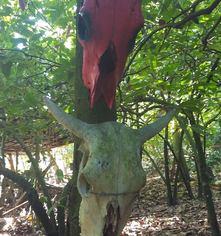 Funtours Cabarete-喀巴里特必去景点