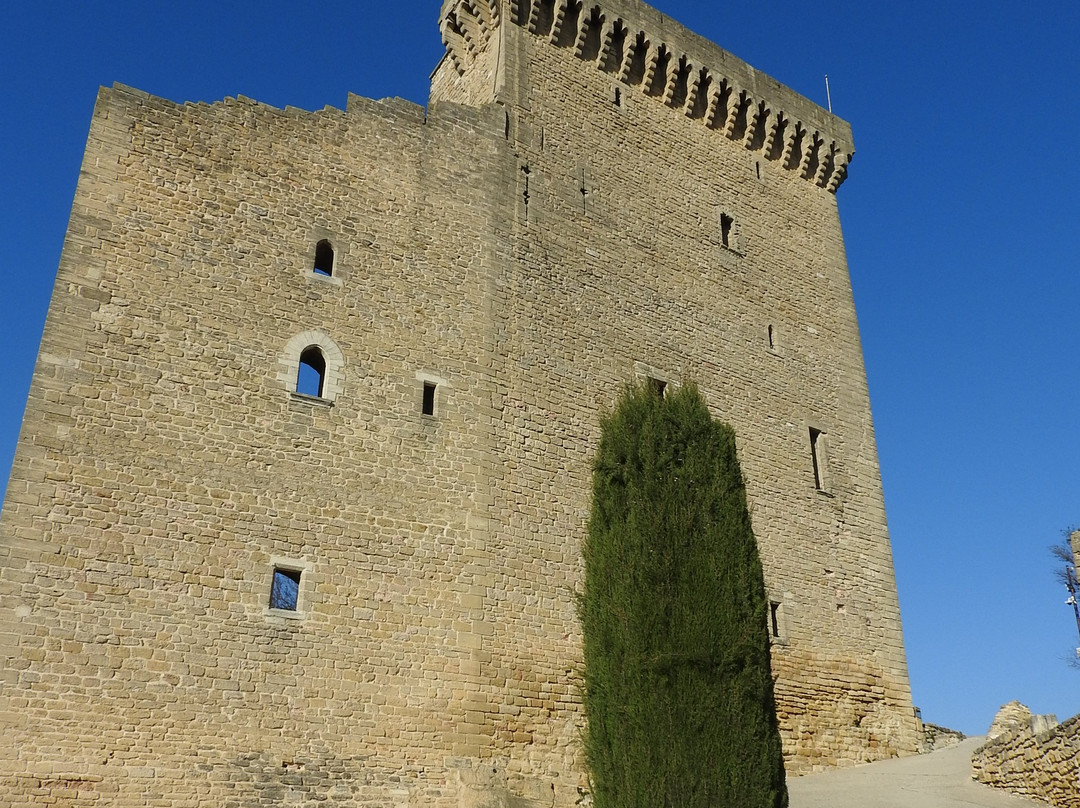Chateau de Pape Jean XXII景点图片
