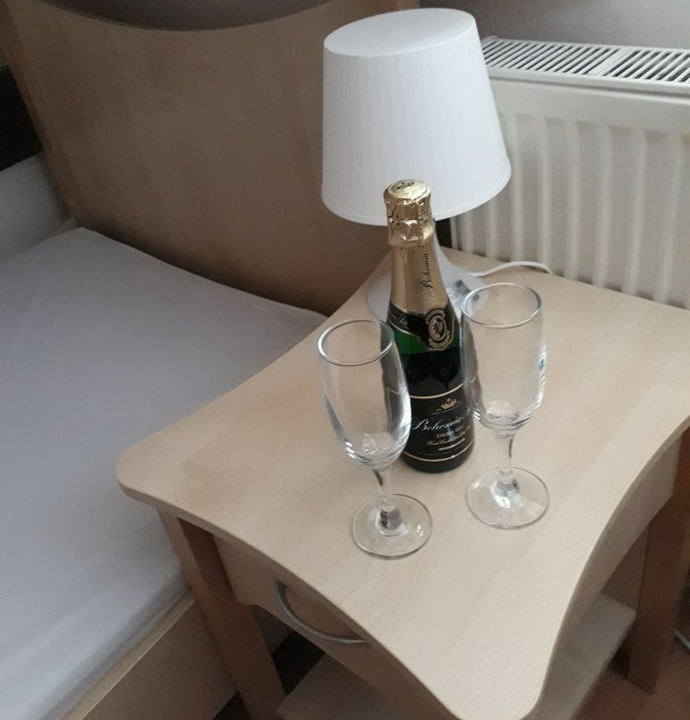 Hotel Bystre主图