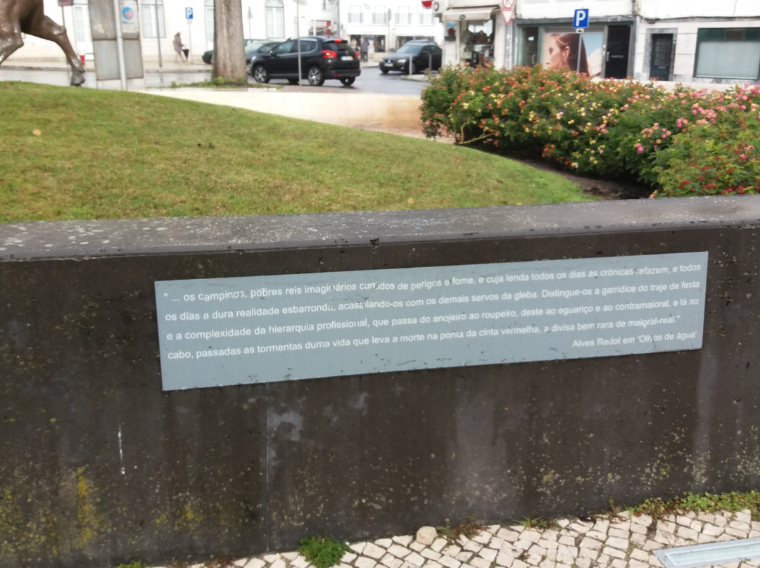 Monumento ao Campino景点图片