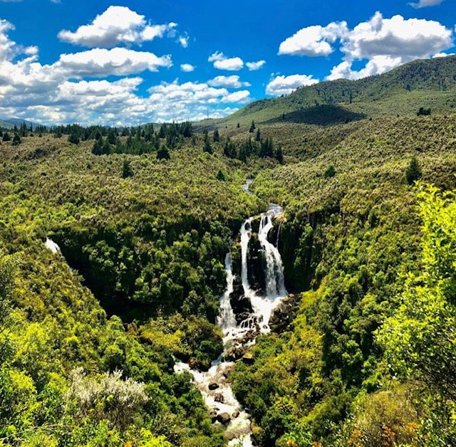 Waipunga Falls景点图片