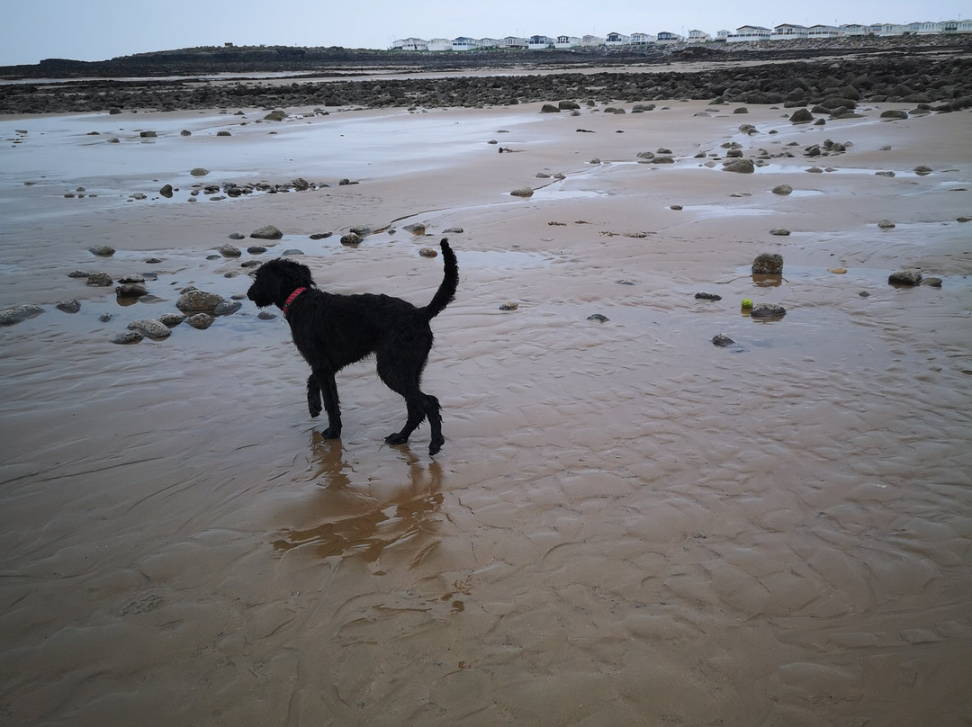 Newton Bay Beach景点图片