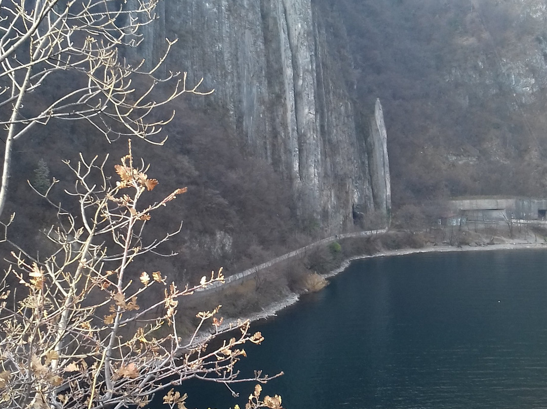 Bogn景点图片