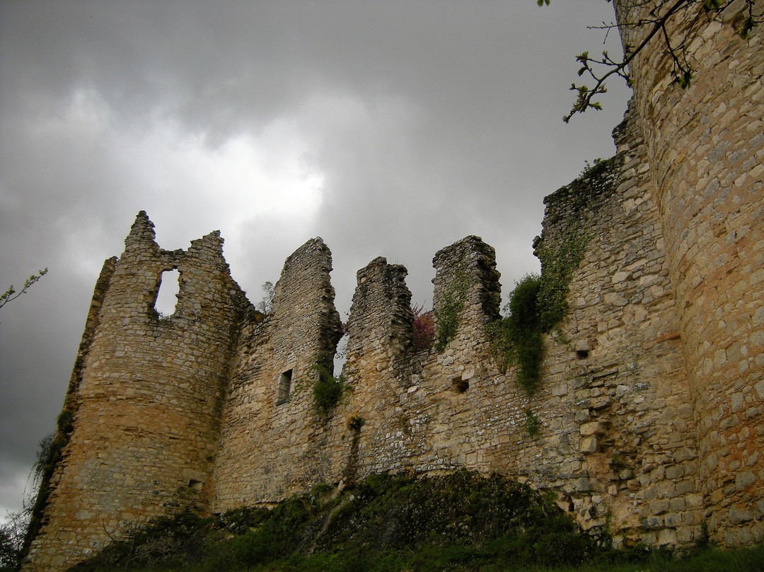 Château de Roussillon景点图片