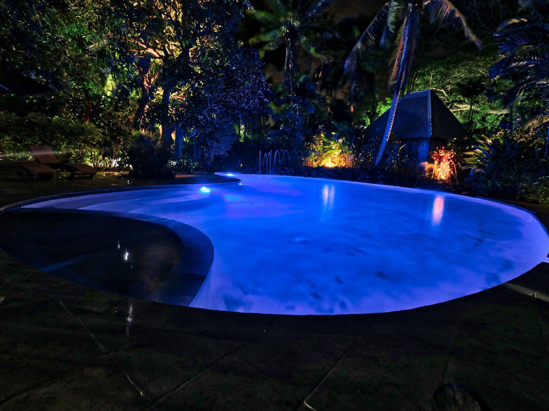 The Fiji Orchid主图