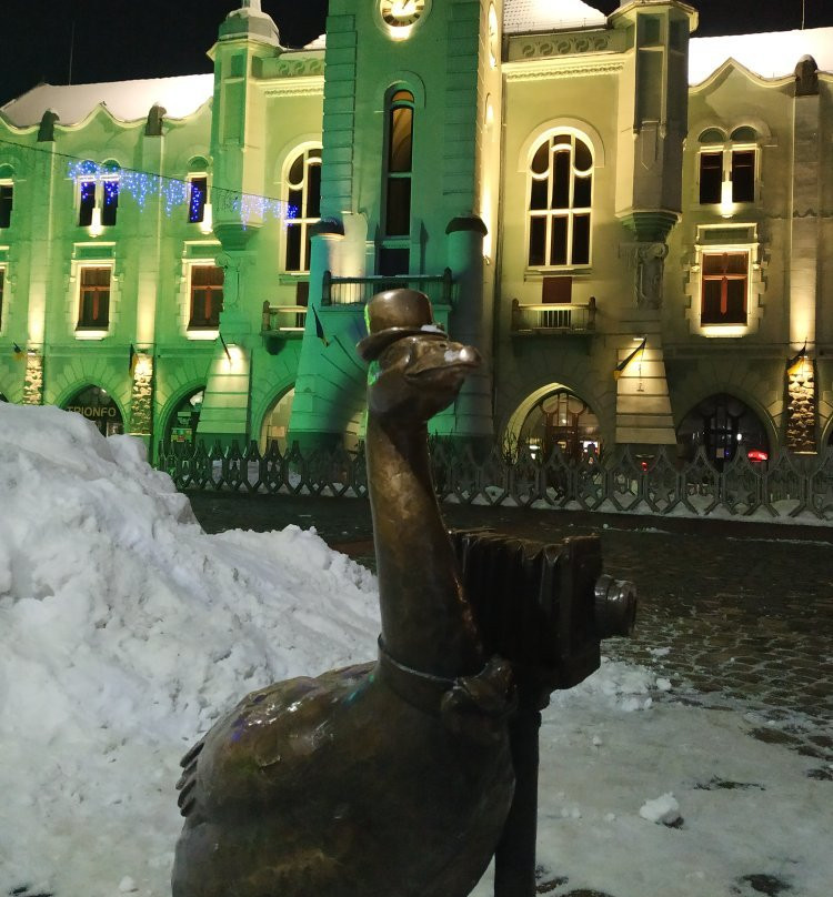 Mukacheve Town Hall景点图片