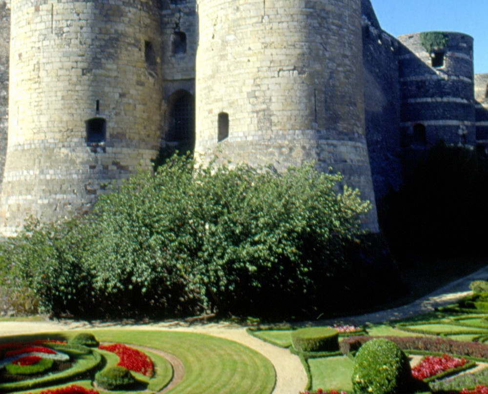 Chateau d'Angers景点图片