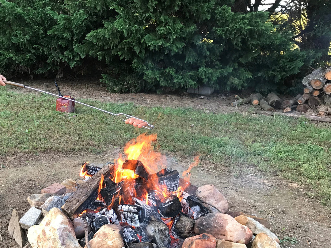 Coleman's Christmas Tree Farm-Middletown必去景点