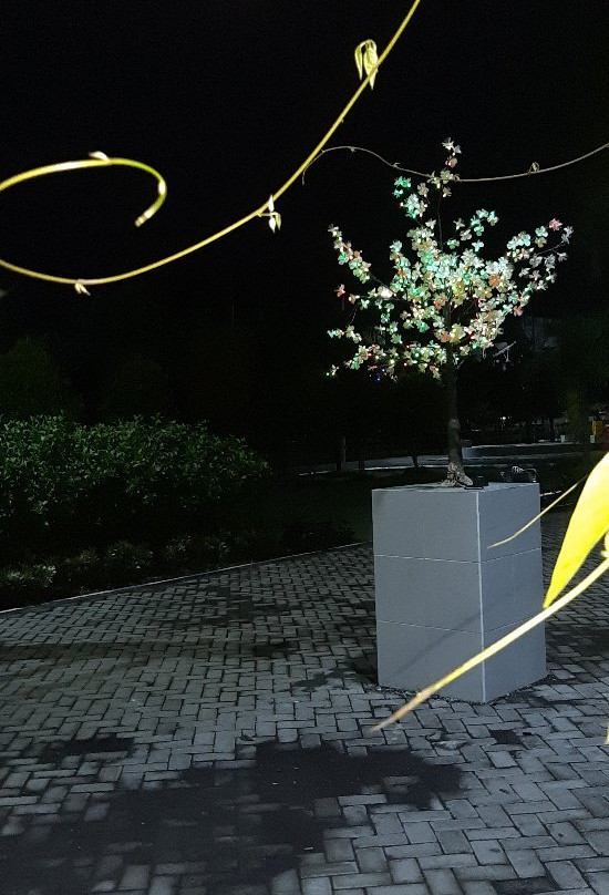 Lumajang Square-Lumajang必去景点