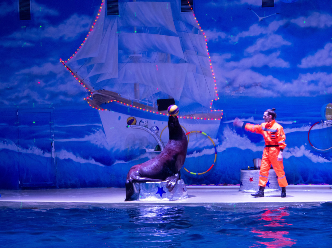Dolphinarium Atlantida-下诺夫哥罗德必去景点