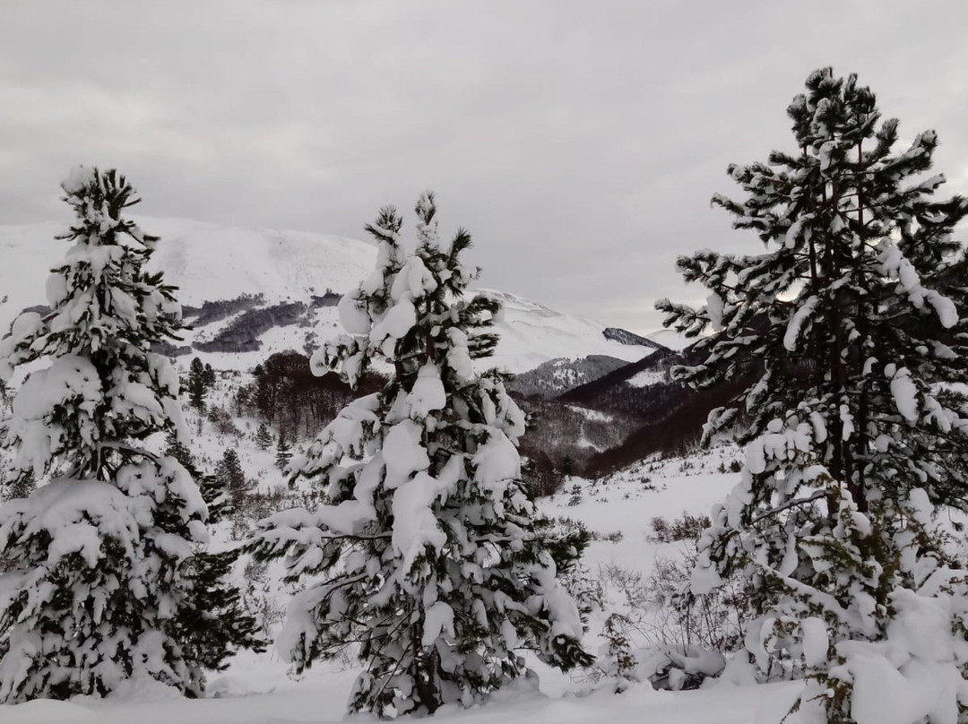 Altopiano delle Cinquemiglia-Rocca Pia必去景点