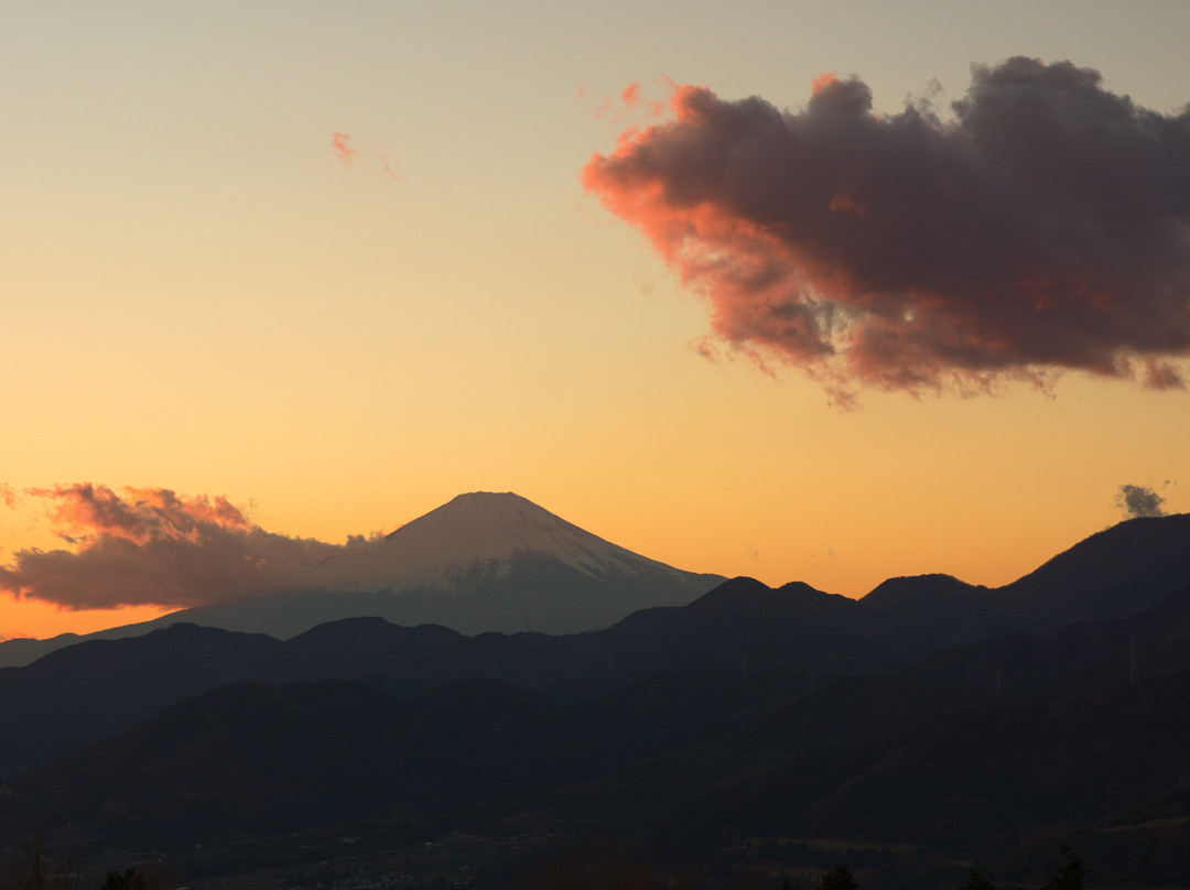 Nanohanadai-秦野市必去景点
