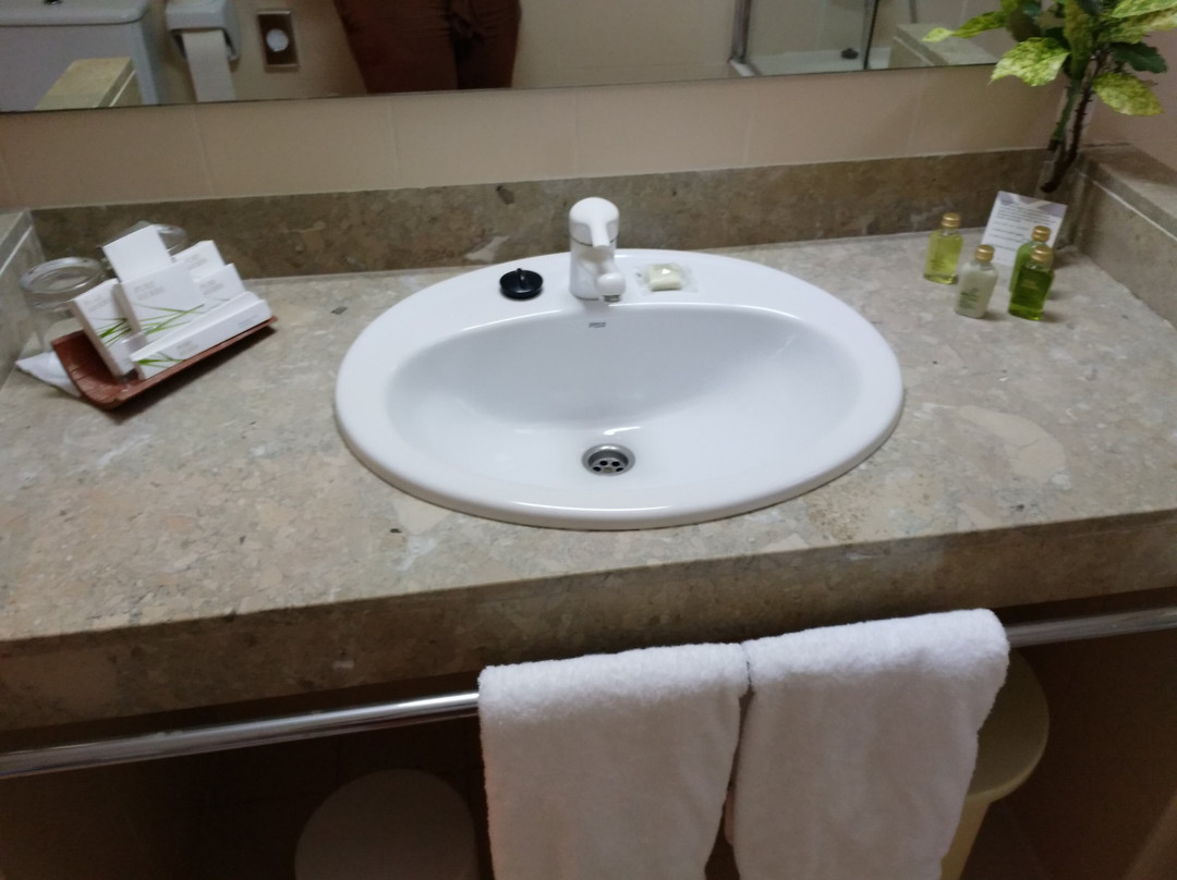 Hotel L'Estacio主图