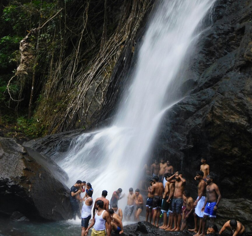 Soochippara Falls (Sentinel Rock Waterfall)景点图片