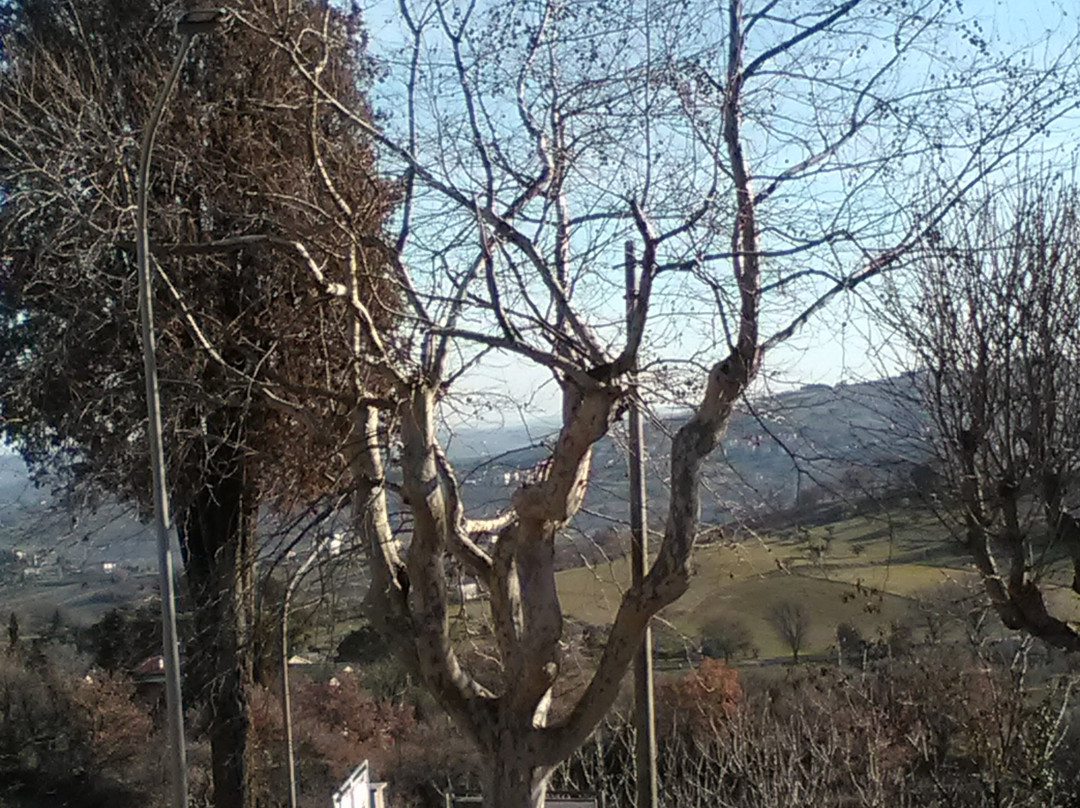 Castello di Montale-Arcevia必去景点