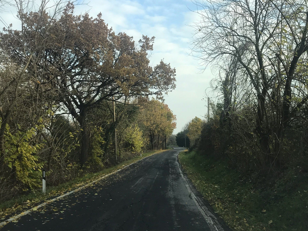 B&B Nuova Nola主图