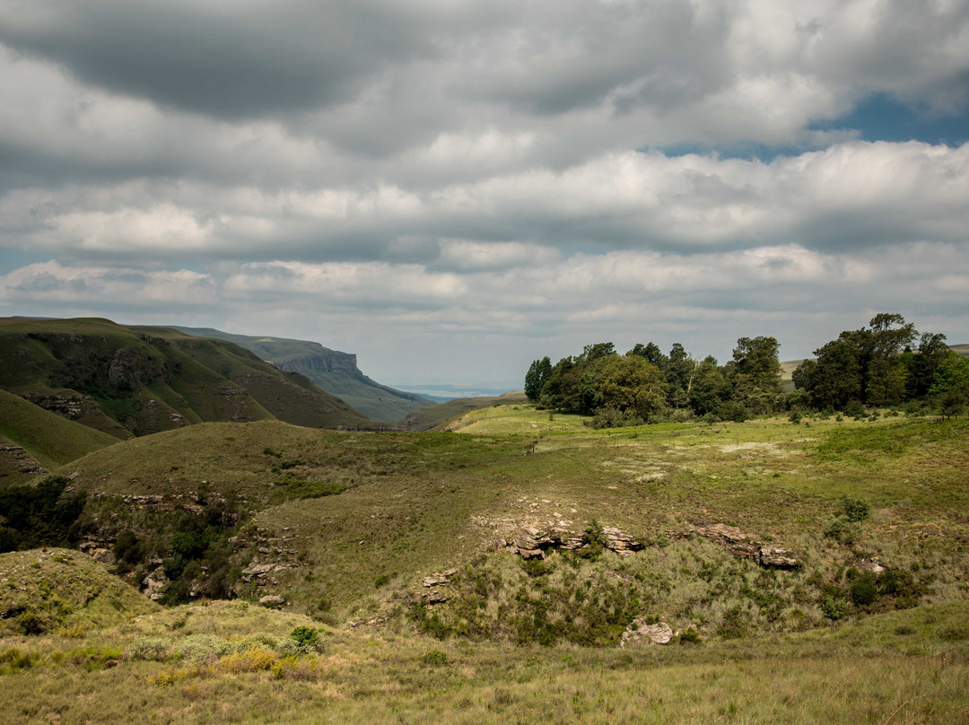 Highmoor Nature Reserve景点图片