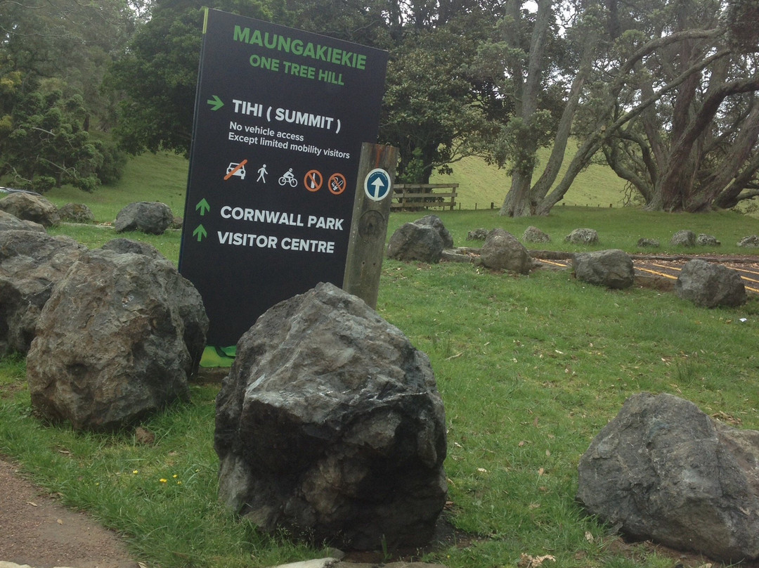 Auckland One Tree Hill Cody Suite主图