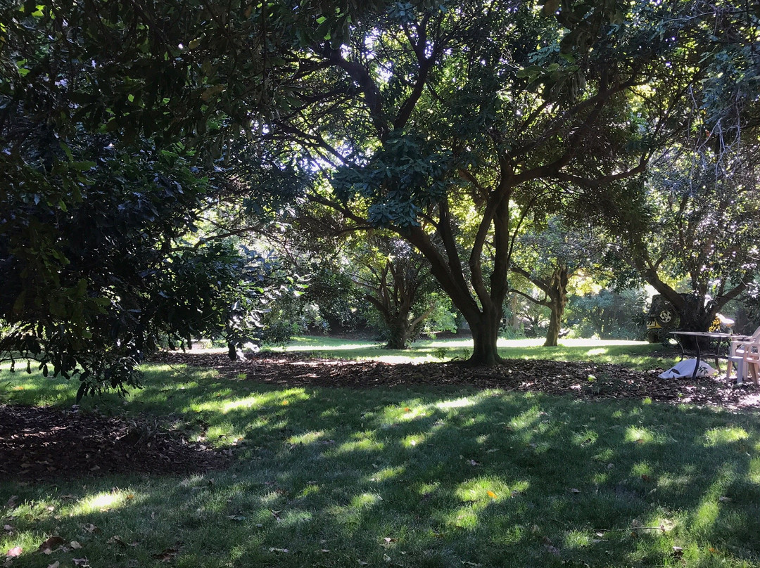 Hawaii Island Resort主图