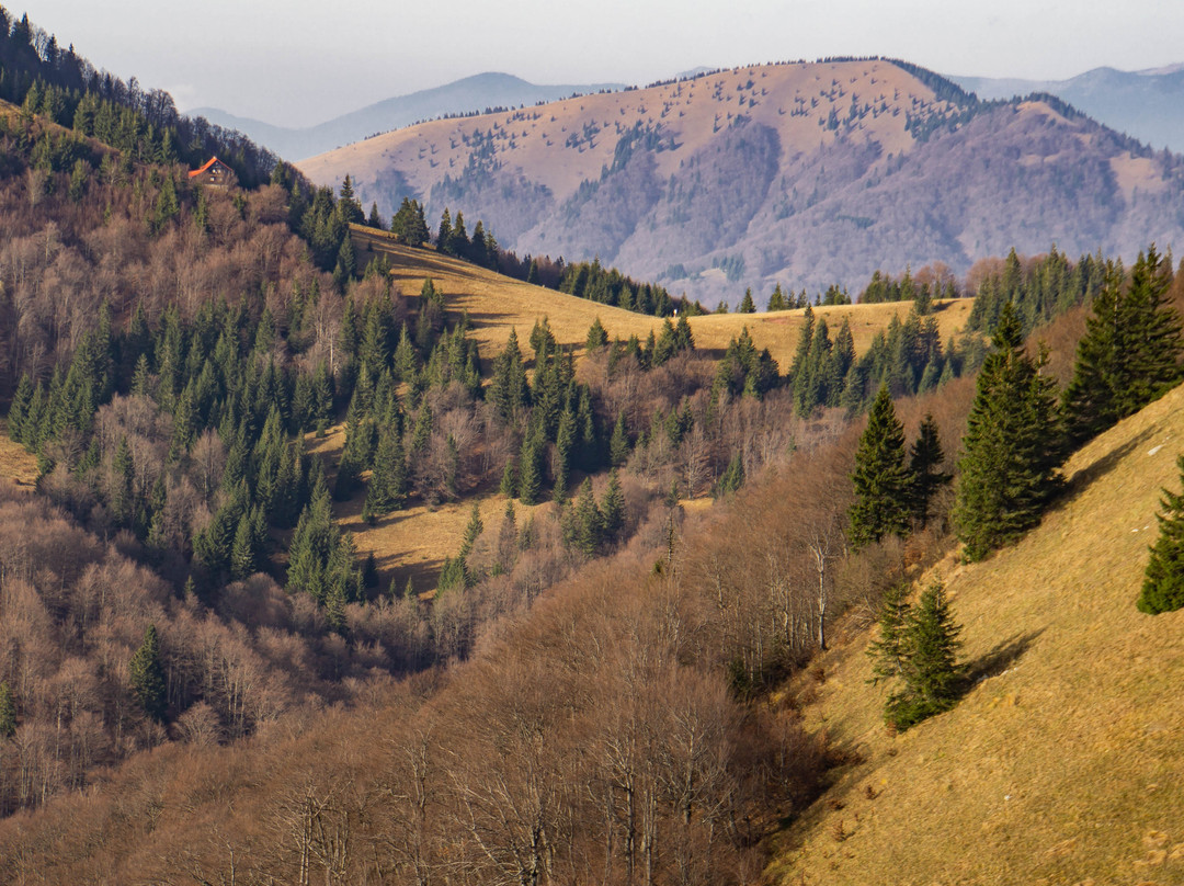 Velka Fatra national park景点图片