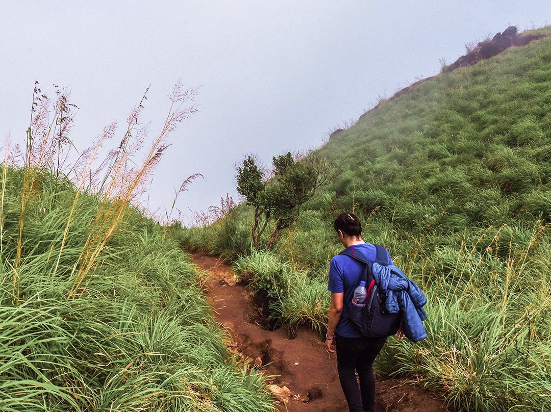 Chembra Peak-瓦亚纳德区必去景点