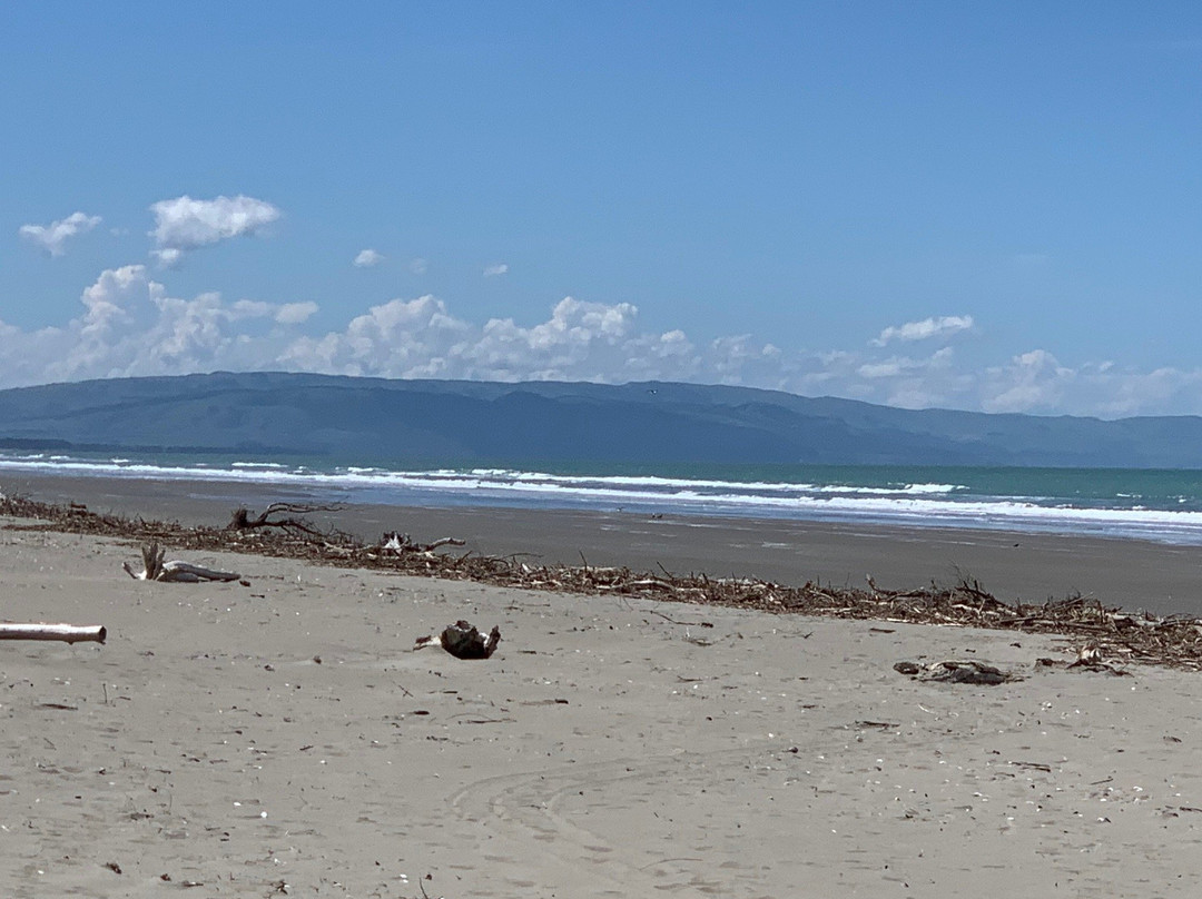 Waikuku Beach景点图片