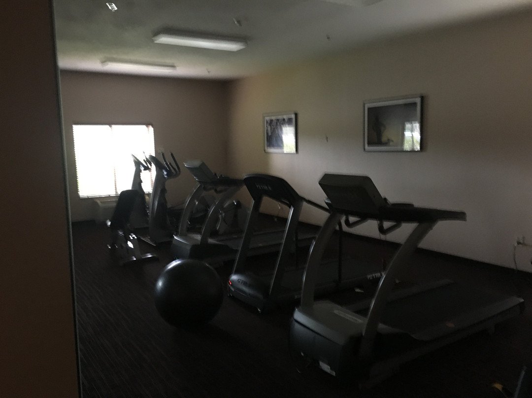 Comfort Inn & Suites主图