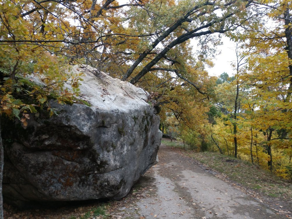 Bosque de la Herreria景点图片