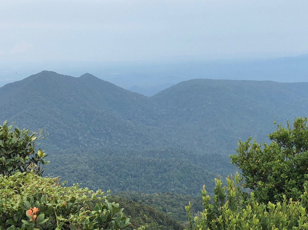 Kluang District旅游攻略图片