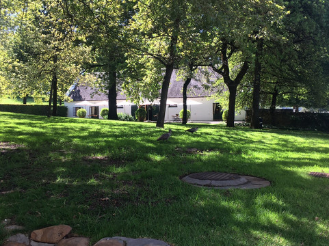 Afrivista Wine Tours-斯泰伦博斯必去景点