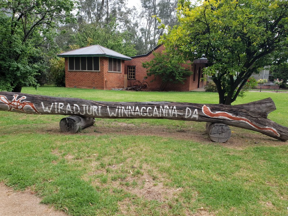 Wonga Wetlands-奥尔伯里必去景点