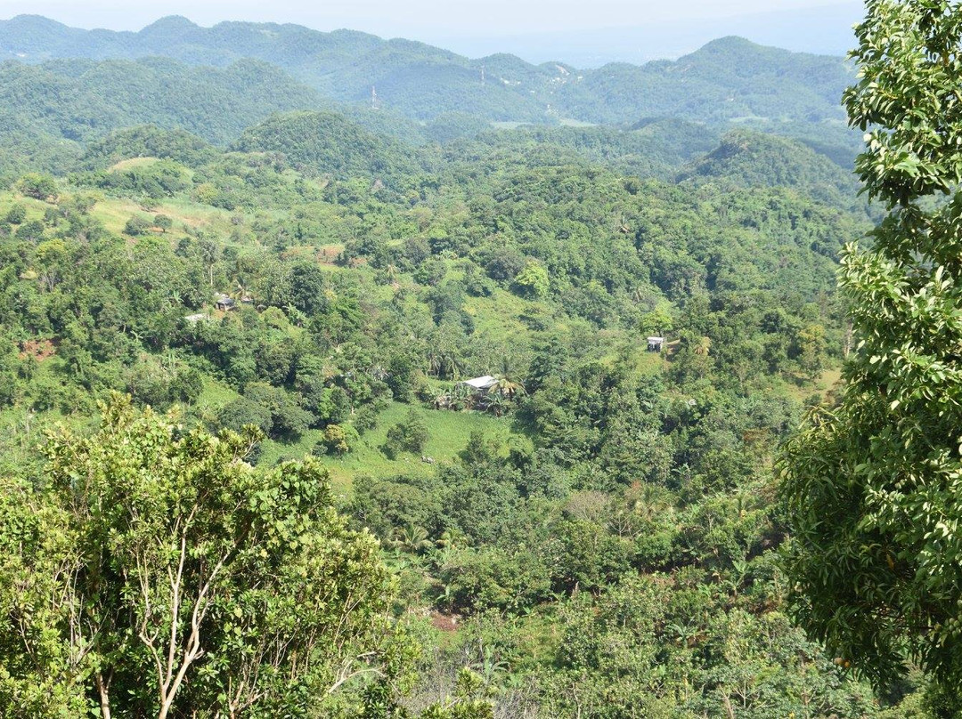 Accompong Village-Santa Cruz必去景点