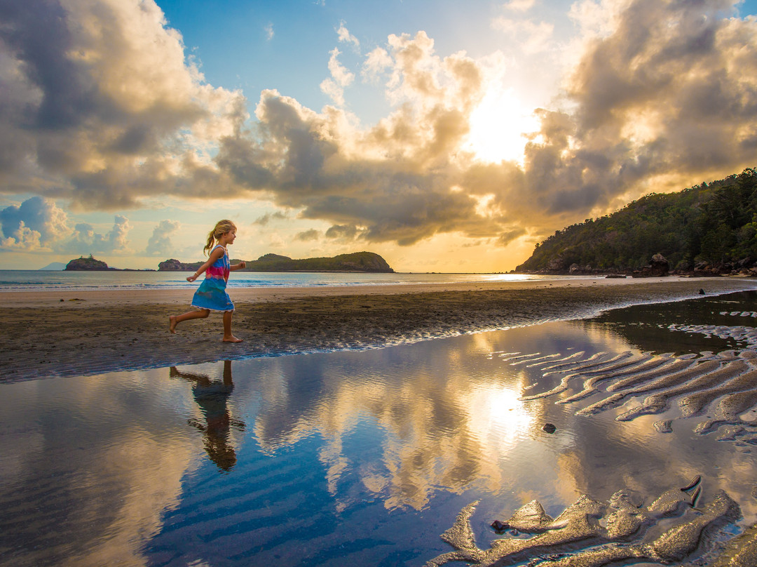 Cape Hillsborough National Park景点图片