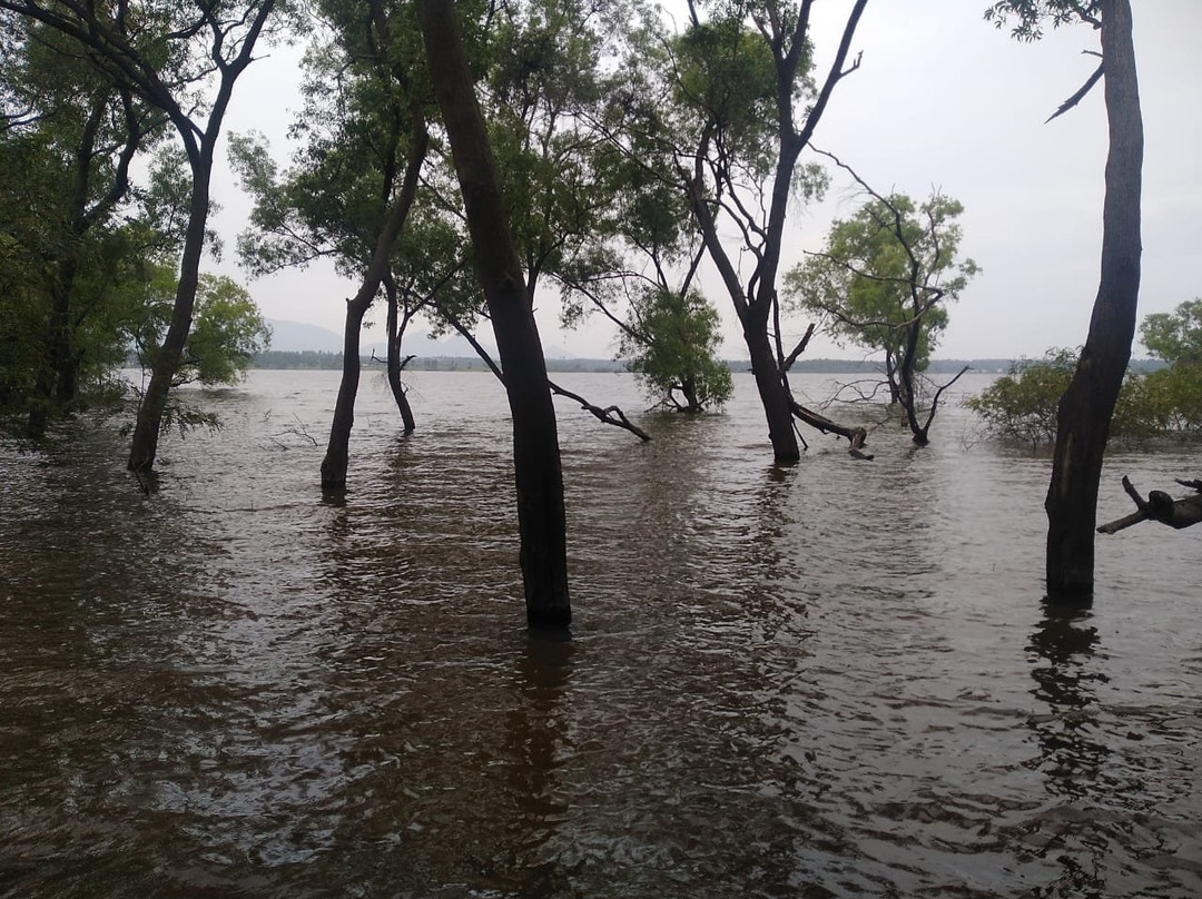 Walayar Dam-Palakkad必去景点