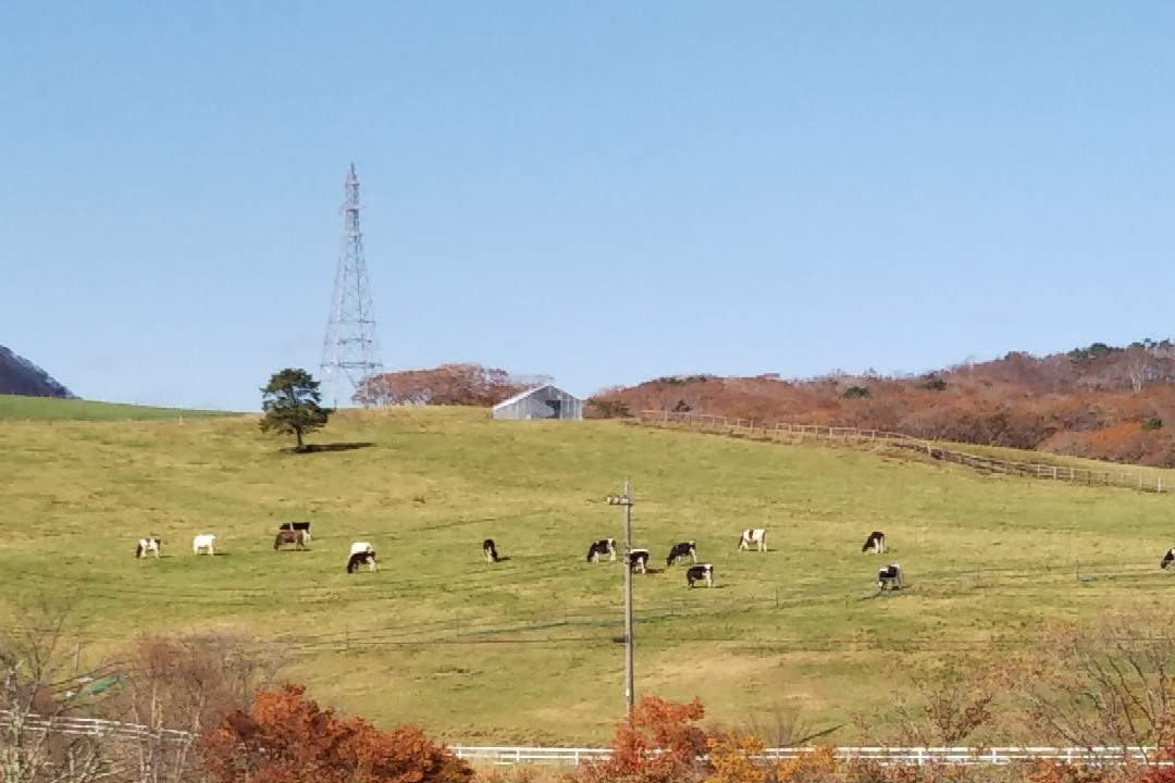 Ozasa Ranch-日光市必去景点