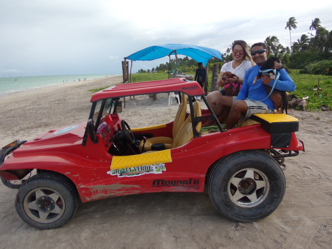 Camacho Beach-Maragogi必去景点