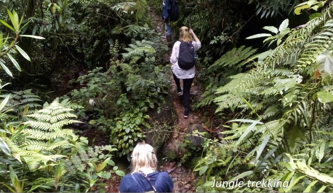 volcano hike + Jungle trekking adventure-茂物必去景点