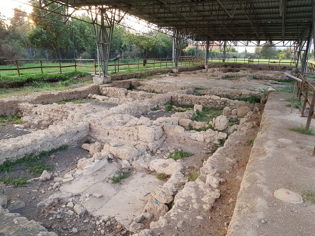 Archaeological Park of Pontecagnano Faiano景点图片