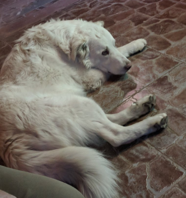 库斯科天文馆-库斯科必去景点