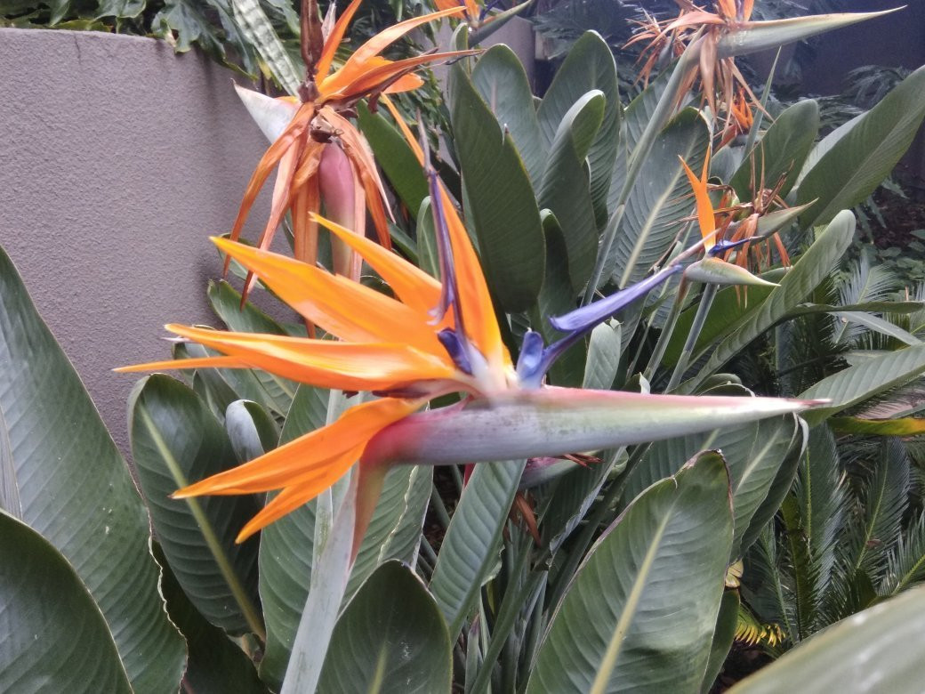 Garden Court Hatfield主图