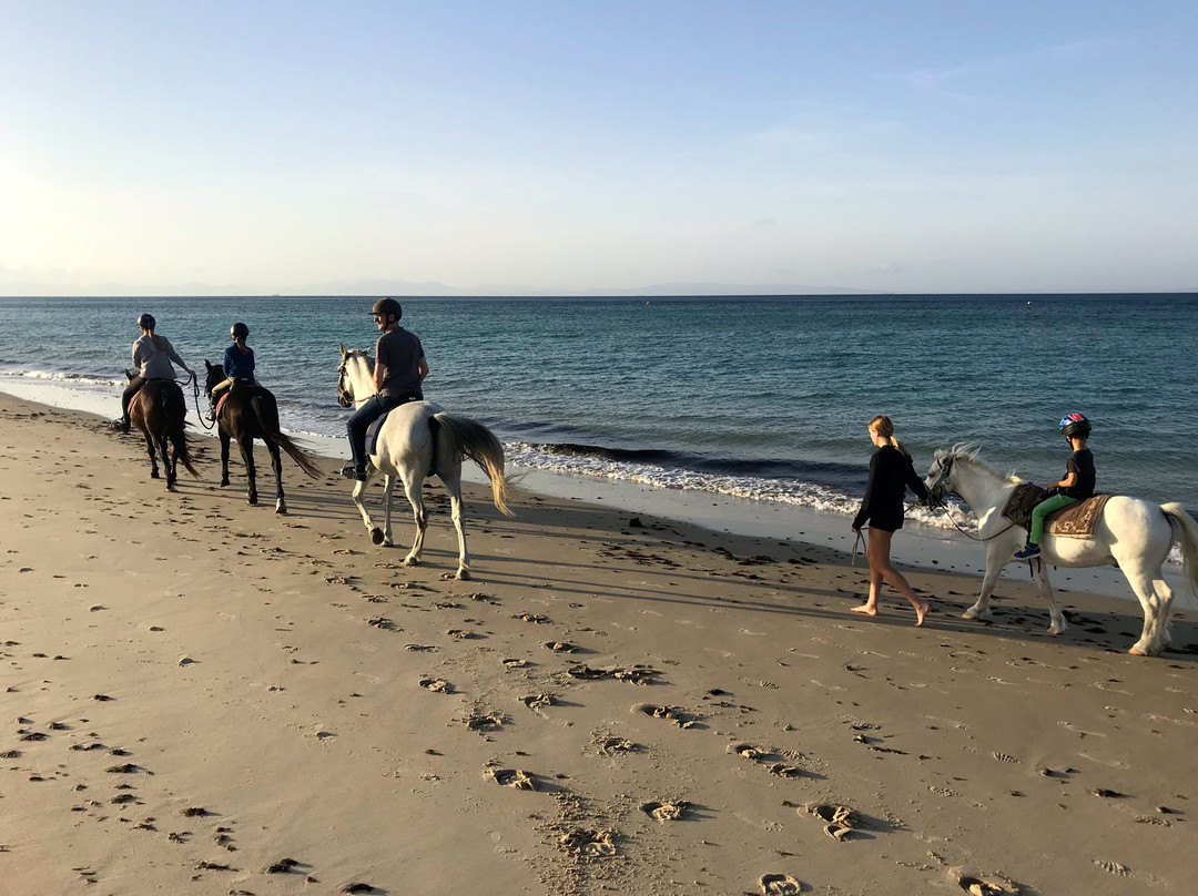 Aventura Ecuestre-塔里法必去景点