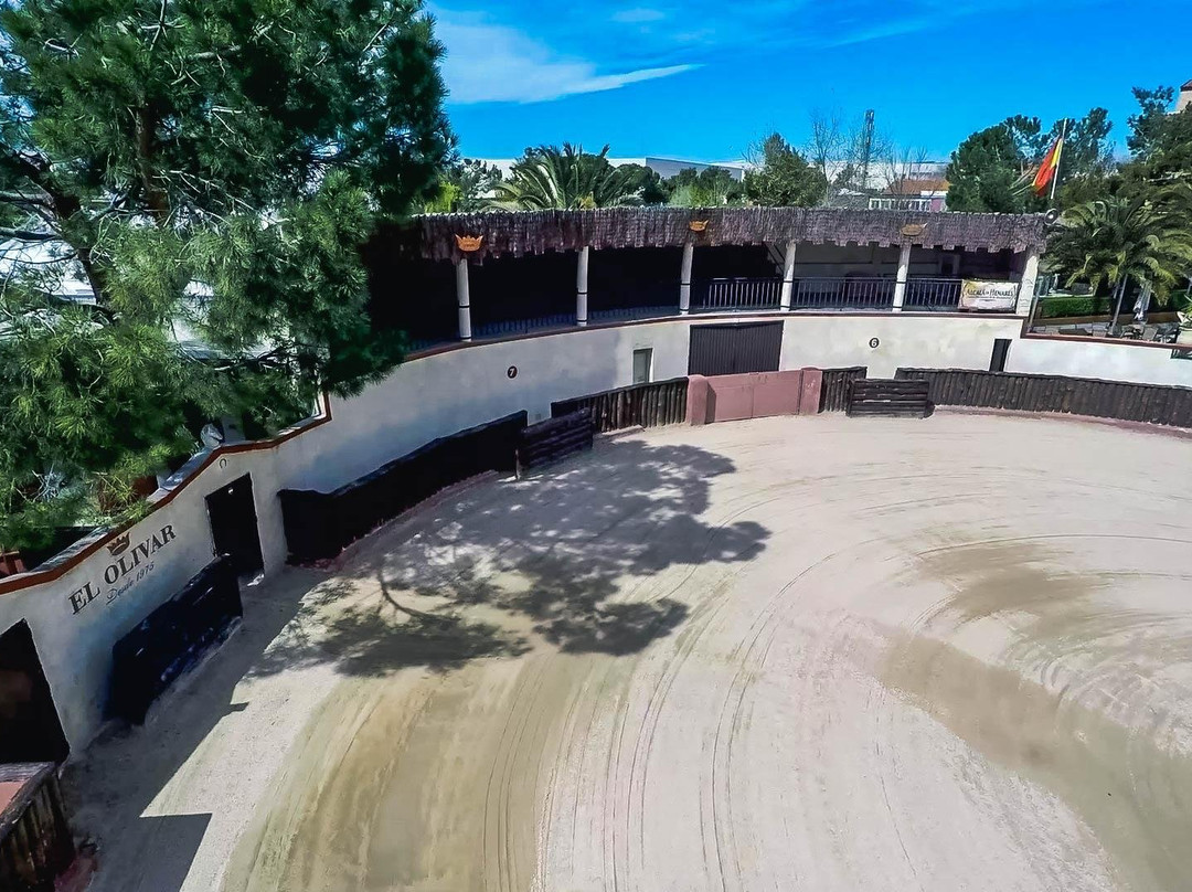 Cervantour-阿尔卡拉-德-哈纳雷斯必去景点