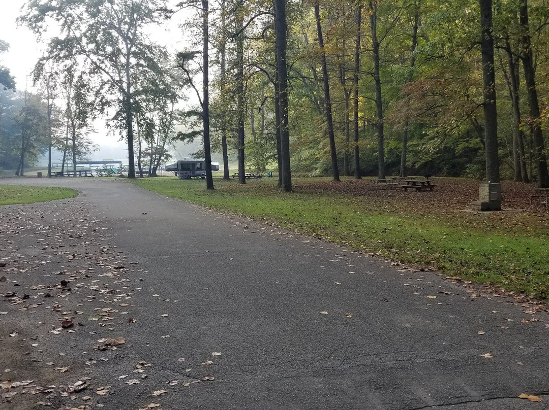 Tar Hollow State Park-Laurelville必去景点