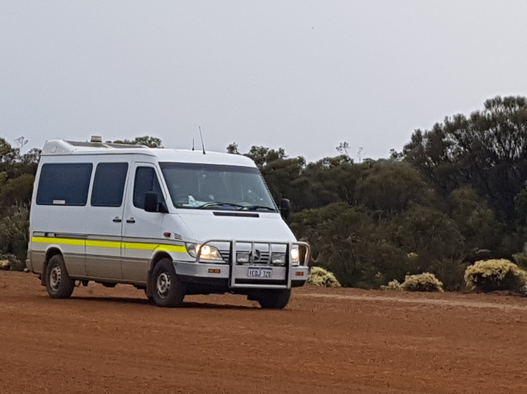 Go Ona Bus-珀斯必去景点