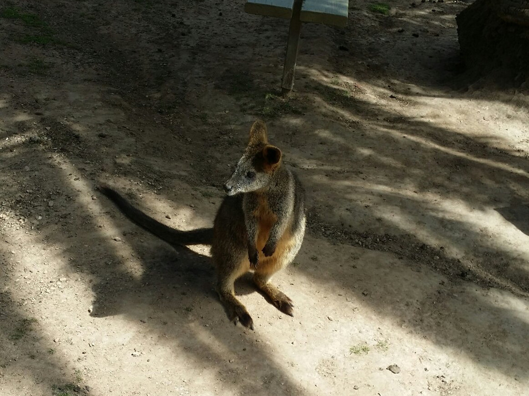 Humbug Scrub Wildlife Sanctuary景点图片