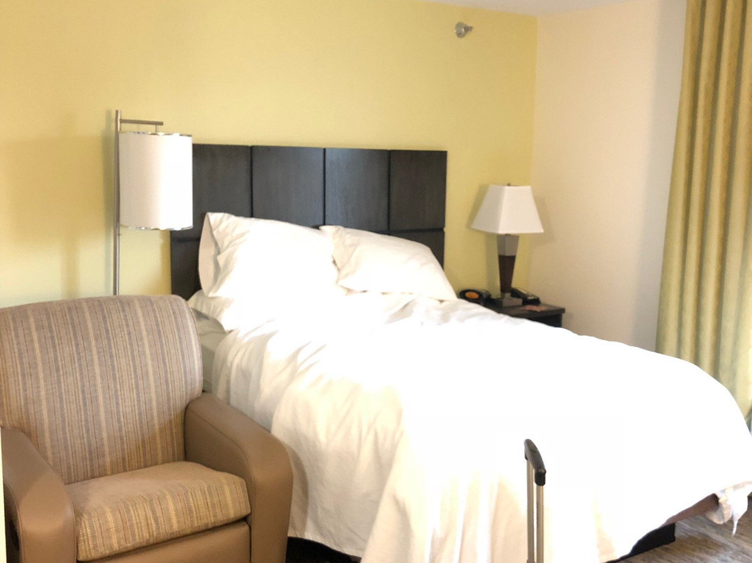 Candlewood Suites Dickinson By IHG主图