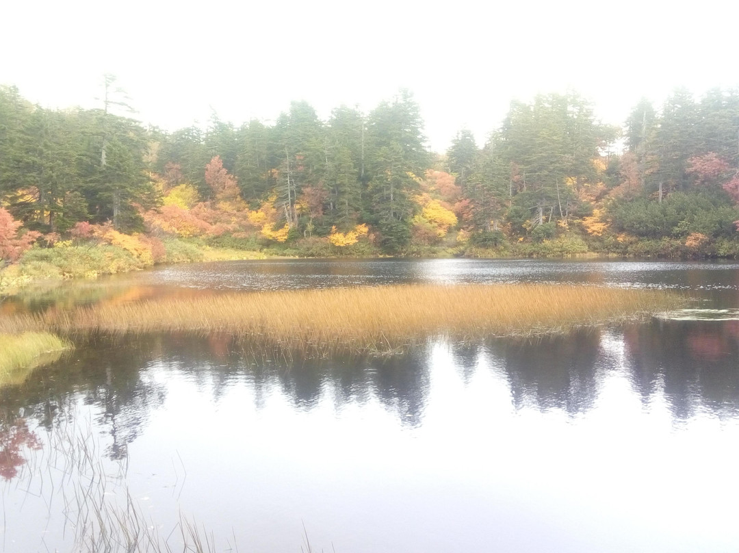Daisetsu Kogen Swamp-上川町必去景点