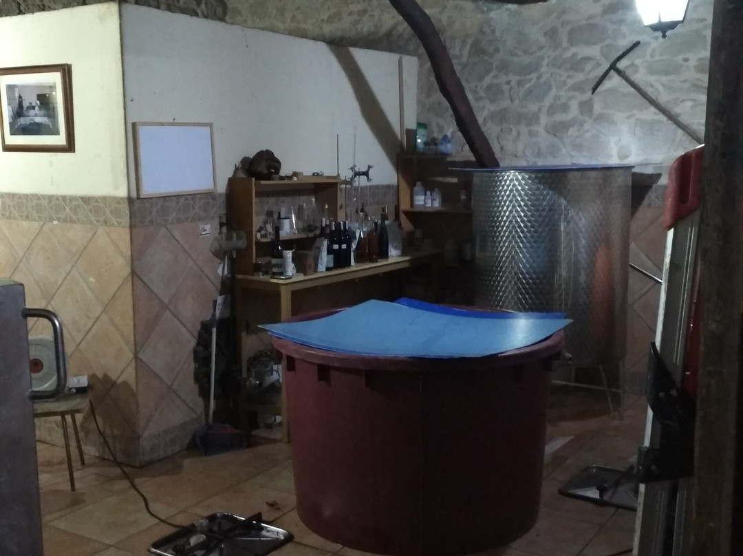 Celler Cal Menescal景点图片